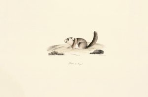  autorstwa Jacques Christophe Werner