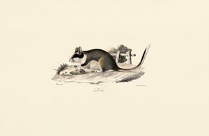  autorstwa Jacques Christophe Werner