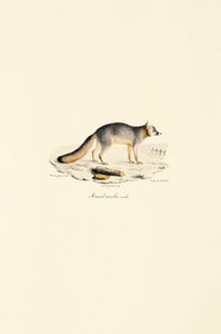  autorstwa Jacques Christophe Werner