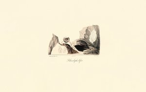  autorstwa Jacques Christophe Werner