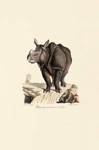  autorstwa Jacques Christophe Werner