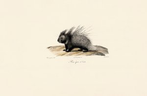  autorstwa Jacques Christophe Werner