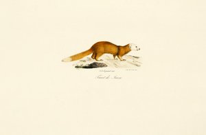  autorstwa Jacques Christophe Werner