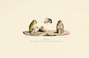  autorstwa Jacques Christophe Werner