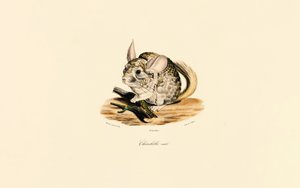  autorstwa Jacques Christophe Werner