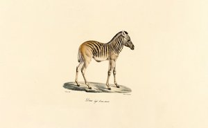  autorstwa Jacques Christophe Werner