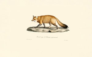  autorstwa Jacques Christophe Werner