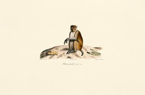  autorstwa Jacques Christophe Werner