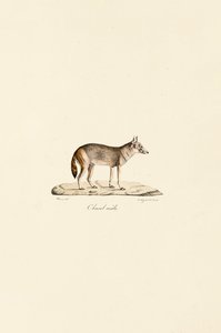  autorstwa Jacques Christophe Werner