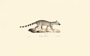  autorstwa Jacques Christophe Werner