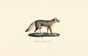  autorstwa Jacques Christophe Werner