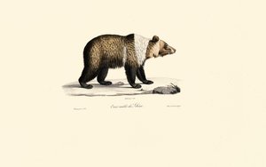  autorstwa Jacques Christophe Werner
