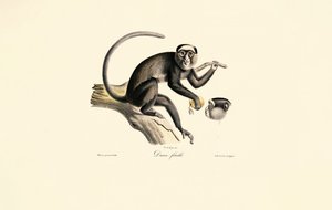  autorstwa Jacques Christophe Werner
