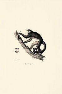  autorstwa Jacques Christophe Werner