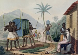 Palankin przewożony w Ile de France, z „Voyage Autour du Monde sur les Corvettes de L