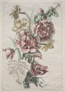Różnorodne kwiaty w bukietach: nr 1 - Malwy i Narcyz, ok. 1900 r. 1670. autorstwa Jacques I Bailly