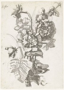 Strona tytułowa z bukietem piwonii, z Diverses Fleurs mises en Bouquets, c.1670