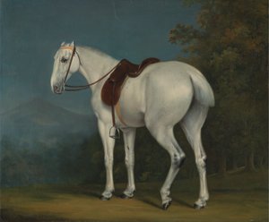 Szary Łowca Damy autorstwa Jacques Laurent Agasse