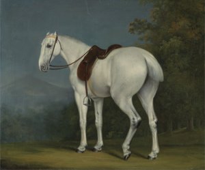 Szary łowca damy, ok. 1806 (olej na płótnie) autorstwa Jacques Laurent Agasse