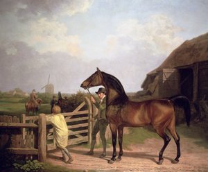 „Bay Ascham”, ogier prowadzony przez bramę do klaczy, 1804