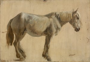 Studium szarego konia (olej na papierze) autorstwa Jacques Laurent Agasse