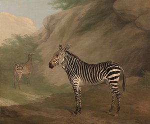 Полировка зебры autorstwa Jacques Laurent Agasse