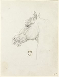 Głowa konia autorstwa Jacques Louis David