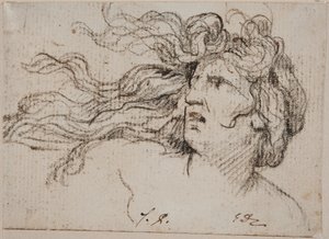 Głowa kobiety z rozwianymi włosami autorstwa Jacques Louis David