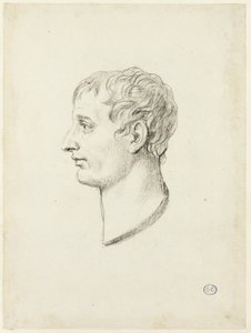 Profil Napoleona autorstwa Jacques Louis David