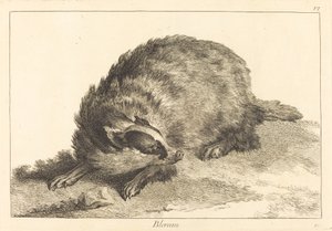 Blereau (borsuk)