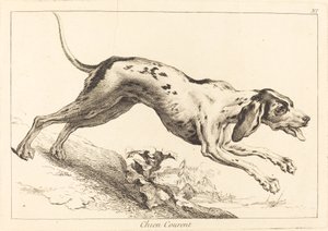Chien courent (biegnący pies)