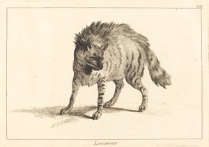 Loucervier (Hiena)