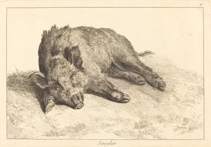 Sanglier (Leżący dzik, skieruj się w lewo)