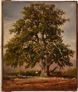 Le Vieux chêne autorstwa Jacques Raymond Brascassat