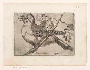 Gaai Gaio (tytuł na obiekcie) Vogels (tytuł serii) autorstwa Jacques de Fornazeris (possibly)