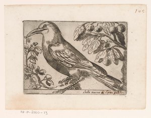 Vogel Przystań Chuta (tytuł na obiekcie) Vogels (tytuł serii) autorstwa Jacques de Fornazeris (possibly)