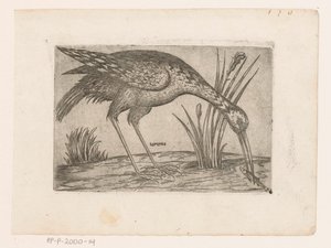 Vogel Tartena (tytuł na obiekcie) Vogels (tytuł serii) autorstwa Jacques de Fornazeris (possibly)