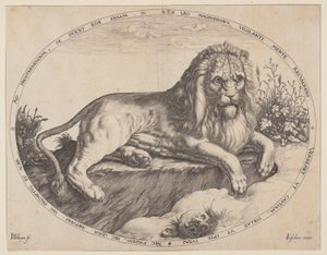 Den Grooten Leeuw (Wielki Lew). autorstwa Jacques de Gheyn II