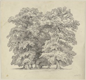  autorstwa Jakob Becker