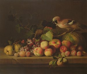 Martwa natura z owocami, sójką i papugą