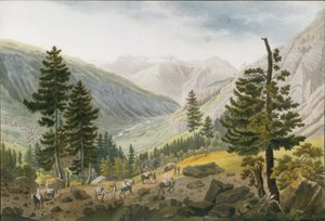 Berglandschaft mit einer Karawane von Maultieren von Jakob Samuel Weibel