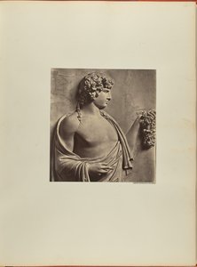 Antinous, płaskorzeźba z miasta Albani autorstwa James Anderson