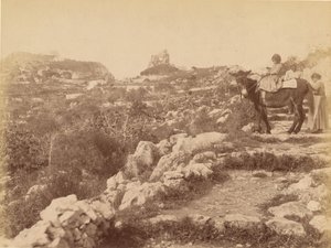 Capri [dziecko na mule] autorstwa James Anderson