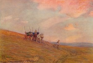 Na Downs Near Harting, 1870-1906, 1906.