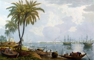 Widok Kalkuty, z punktu naprzeciw Kidderpore, 1837, sztychowany przez Roberta Havella Młodszego (1793-1878) (akwatinta)