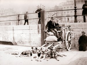 Mężczyzna z wozem dla psów, Antwerpia, 1898. autorstwa James Batkin