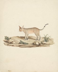 Uruchomiony Lynx autorstwa James Bruce