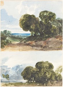 Dwa szkice drzew. autorstwa James Bulwer