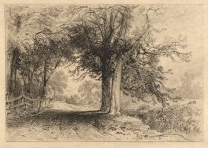 A Farm Lane, styczeń 1887, Opus 2 autorstwa James David Smillie