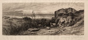 W Marblehead Neck autorstwa James David Smillie